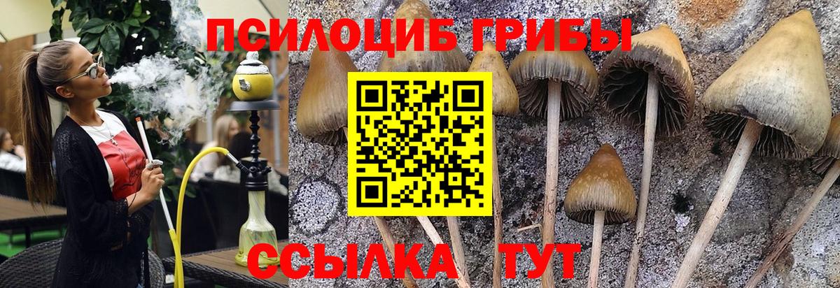 Галлюциногенные грибы ЛСД  Псилоцибиновые грибы мицелий  Чусовой  Вход с VPN 